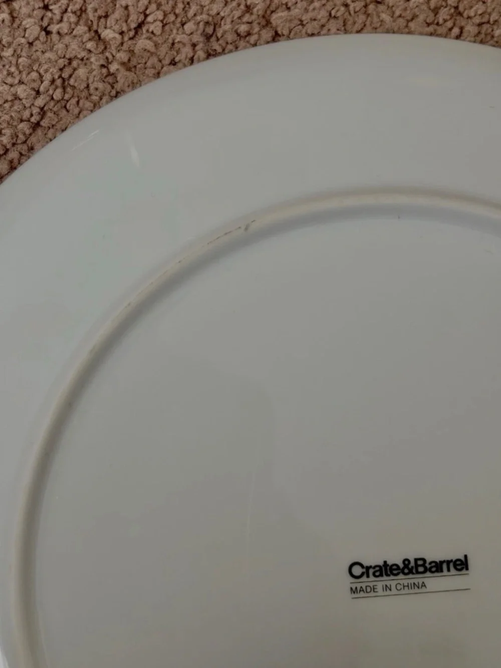 Crate & Barrel Beetle Ladybug Dinner Plate By Jane Dixon Ceramic Y2K Bug Dish